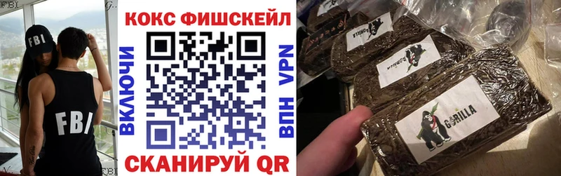 мега вход  Палласовка  Cocaine FishScale 