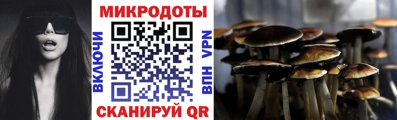KRAKEN онион  Палласовка  Псилоцибиновые грибы Psilocybe 